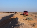 dakar_2007_001