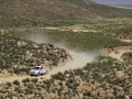 pandakar_dakar_2014_5