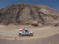 pandakar_dakar_2014_6