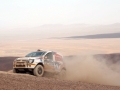 pandakar_dakar_2014_9